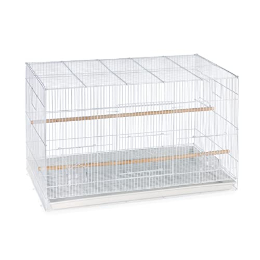 Flight Cage for Multi-Bird Hom – Interior Design And Construction Bewertung und Preis