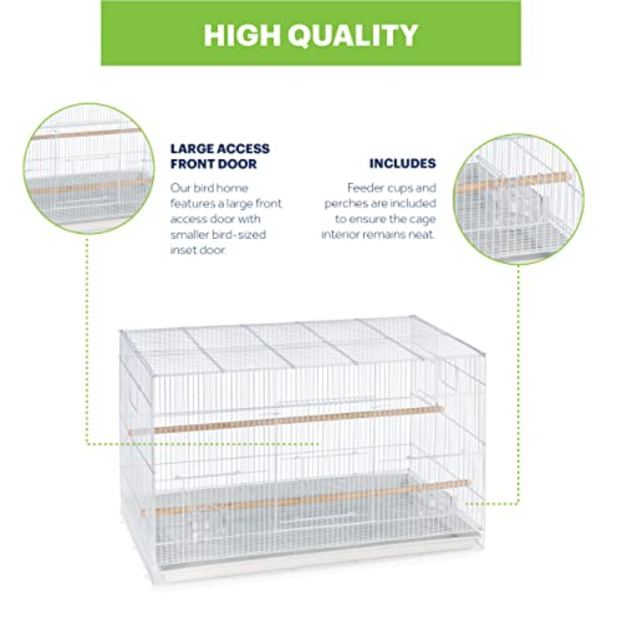 Flight Cage for Multi-Bird Hom – Interior Design And Construction Bewertung und Preis