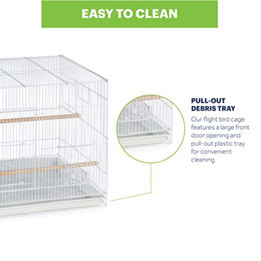 Flight Cage for Multi-Bird Hom – Interior Design And Construction Bewertung und Preis