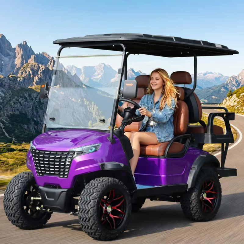 Lifted Lithium Battery 4 Seate – Interior Design And Construction Bewertung und Preis